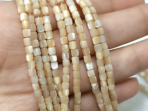 صدف استوانه ای زیورآلات