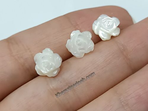 گل صدف دورویه