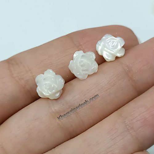 گل صدف دورویه