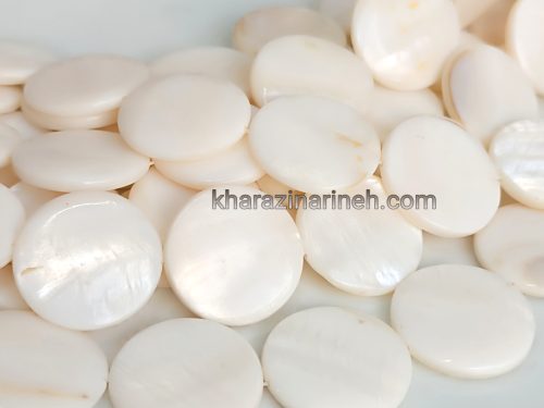 صدف سکه ای سایز بزرگ