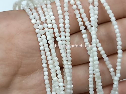 صدف گرد ریز سفید
