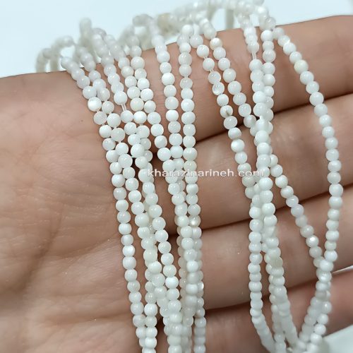 صدف گرد ریز سفید